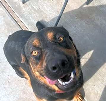 Photo of Knox