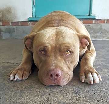 Photo of Mason
