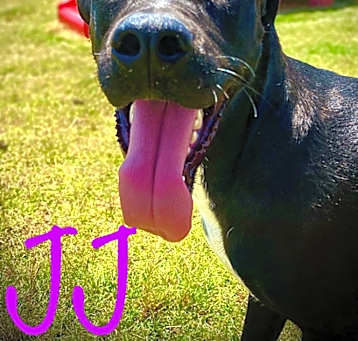 Photo of JJ