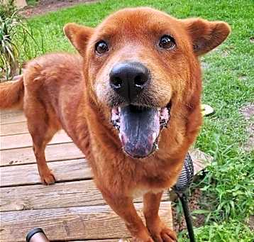 Photo of YOGIE