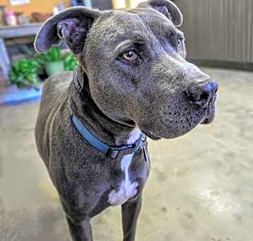 Photo of Duke