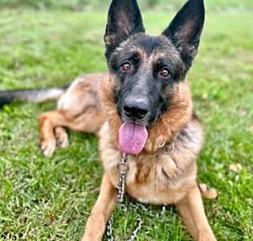 Photo of Duke