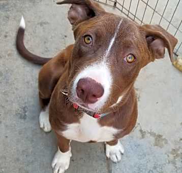 Photo of Maggie May