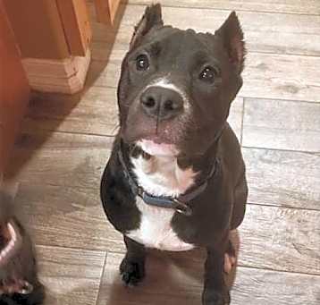 Photo of MAVIS