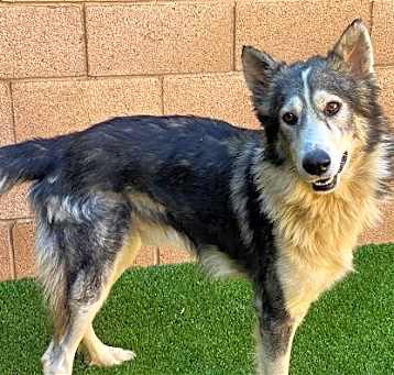 Photo of Lakota