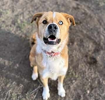 Photo of Tocho