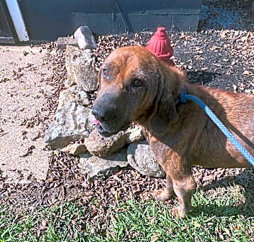 Photo of Duke