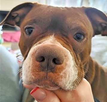 Photo of Jessie Girl