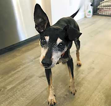 Photo of Spike