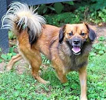 Photo of SONNY BOY