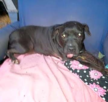 Photo of Mya