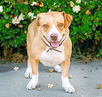 Photo of Shirley