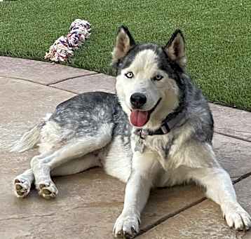 Photo of Lucy