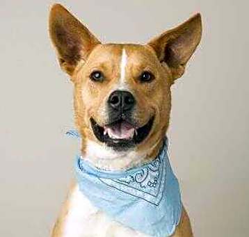 Photo of Tex