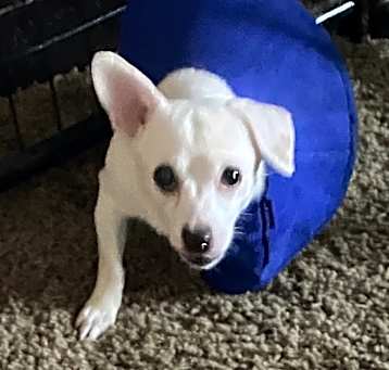 Photo of Sasha