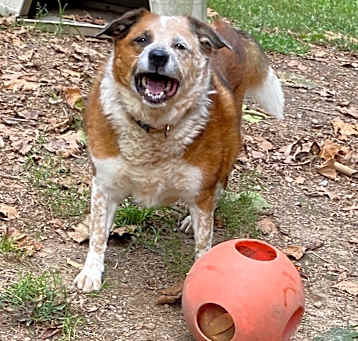 Photo of Reecie