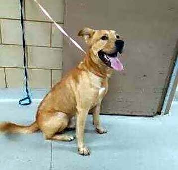 Photo of Rosco