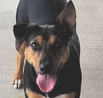 Photo of Sheena