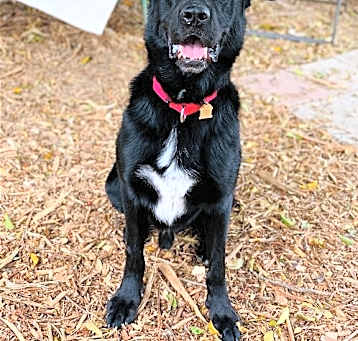 Photo of Maverick