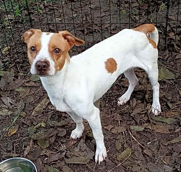 Photo of Darla