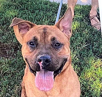 Photo of Titus