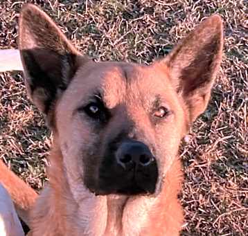 Photo of Kiki