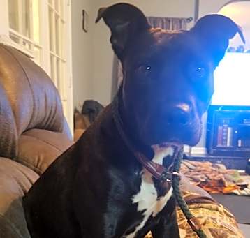 Photo of WREN