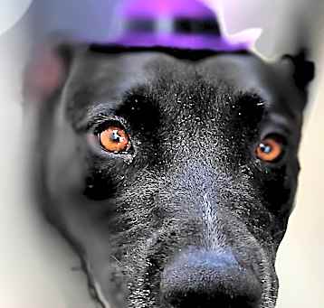 Photo of Hope