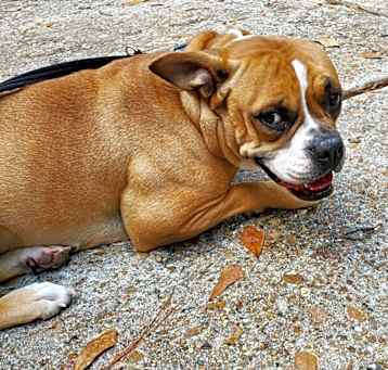 Photo of Rayne