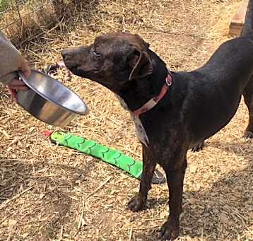 Photo of Buster