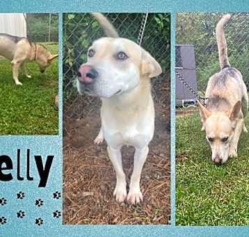 Photo of Relly