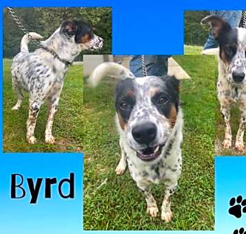 Photo of Byrd