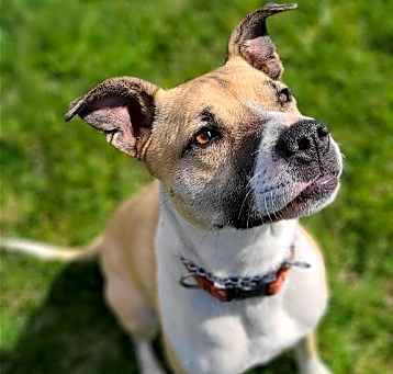 Photo of Evie