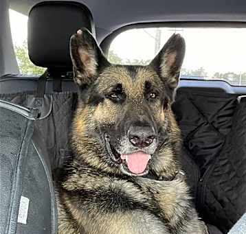 Photo of Matthias