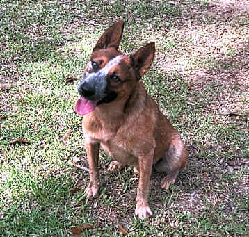 Photo of Jake