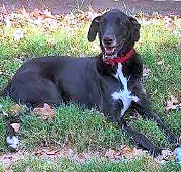 Photo of Whitney