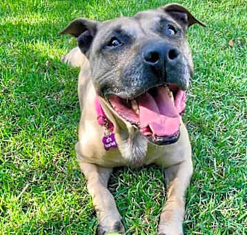 Photo of Hope