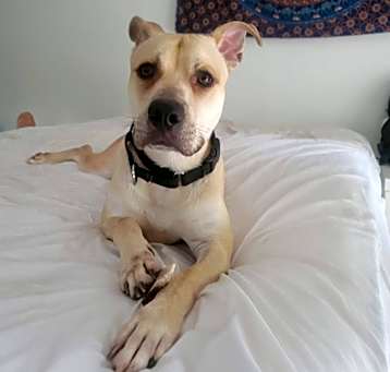 Photo of Angel