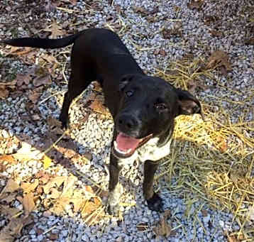 Photo of Buford