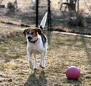 Photo of Duke