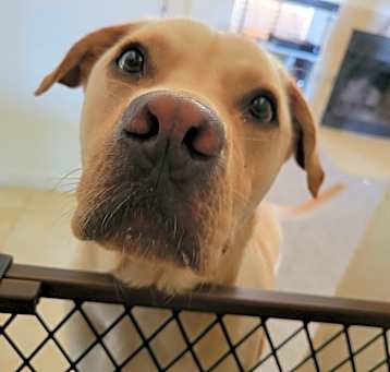 Photo of Maverick