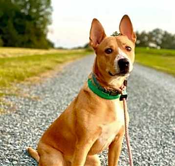 Photo of Peter Pan