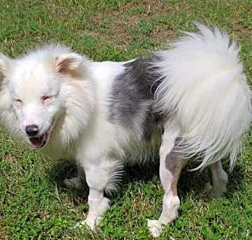 Photo of Brayleigh