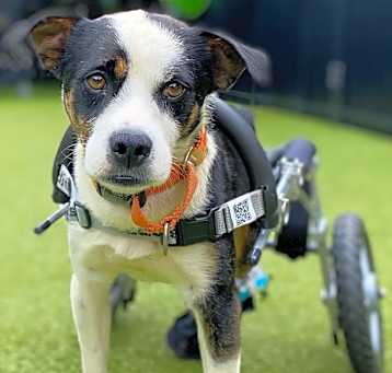 Photo of OAKLEY