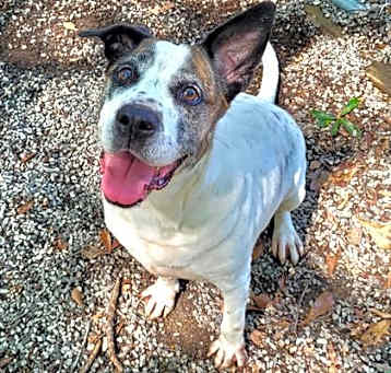 Photo of Roxy