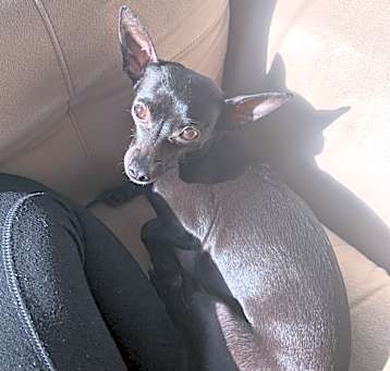 Photo of Numa