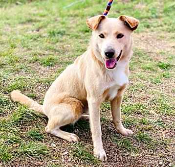 Photo of Cooper