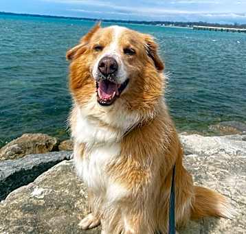 Photo of Ajax