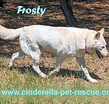 Photo of Frosty