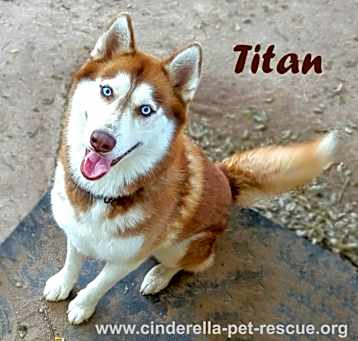 Photo of Titan